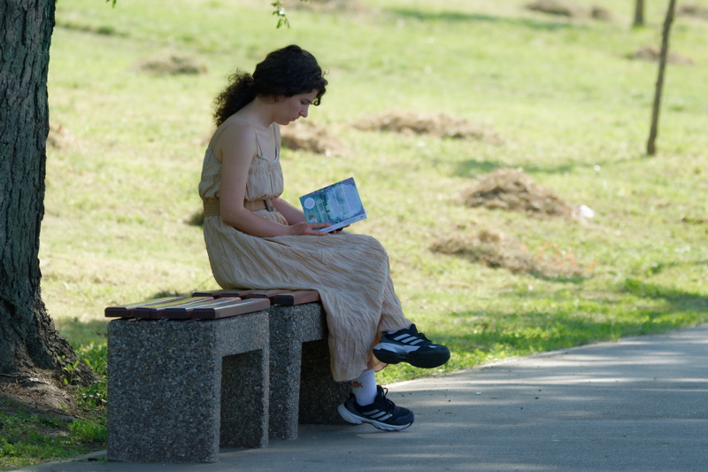 Girl reading a book on a bench